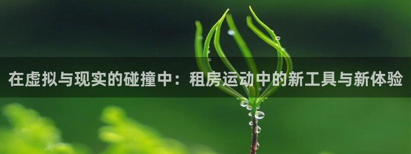 征途国际招商电话：在虚拟与现实的碰撞中：租房运动中的