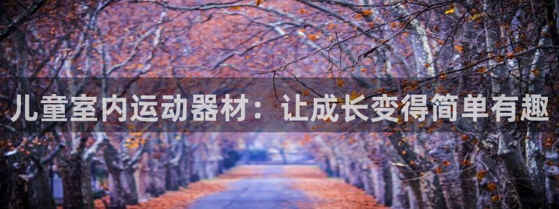 征途国际联系电话：儿童室内运动器材：让成长变得简单有趣