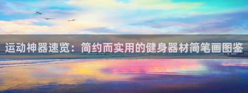 征途国际招商电话号码查询：运动神器速览：简约而实用的健身器材