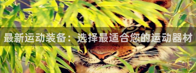 征途国际平台注册要钱吗安全吗：最新运动装备：选择最适
