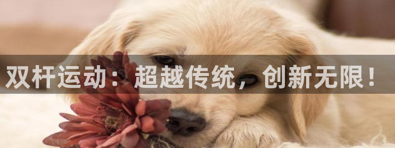 征途国际集团官网首页网址：双杆运动：超越传统，创新无
