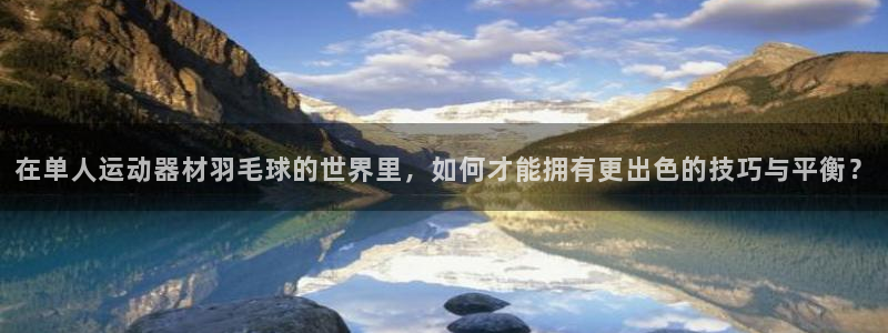 征途国际娱乐网站：在单人运动器材羽毛球的世界里，如何