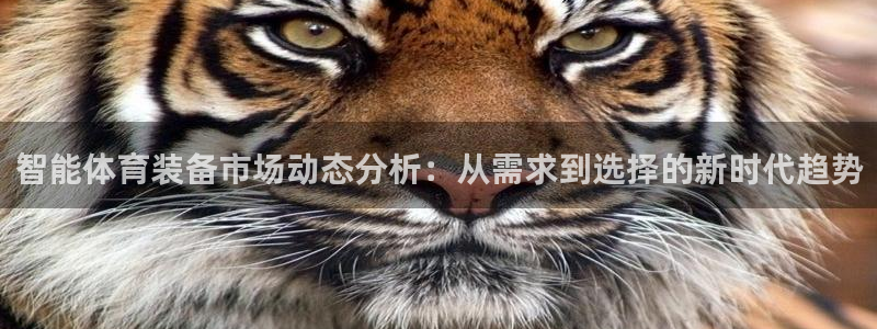 征途国际招商电话号码是多少号