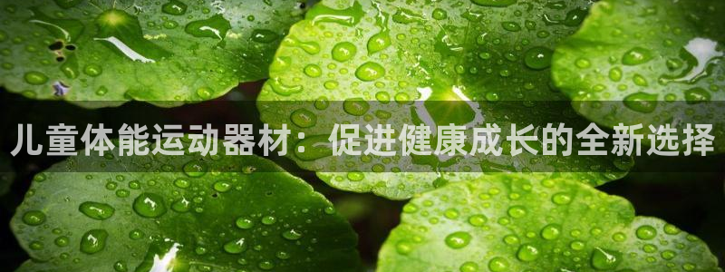 海南征途国际发展怎么样：儿童体能运动器材：促进健康成长的全新