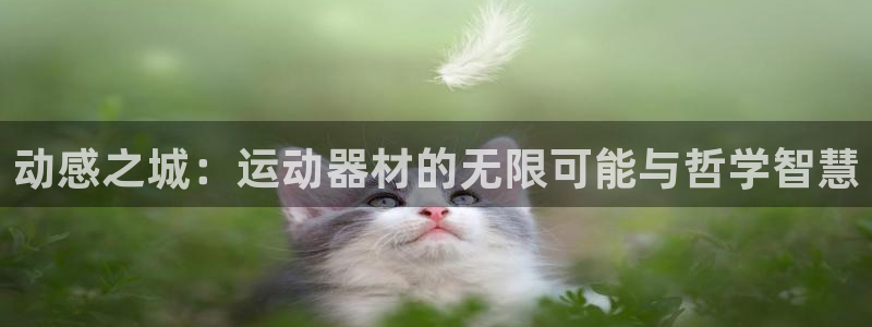 征途国际招商电话号码查询：动感之城：运动器材的无限可能与哲学