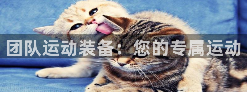 征途国际神州：团队运动装备：您的专属运动