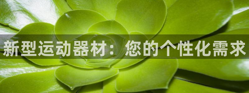 征途国际平台体育：新型运动器材：您的个性化需求