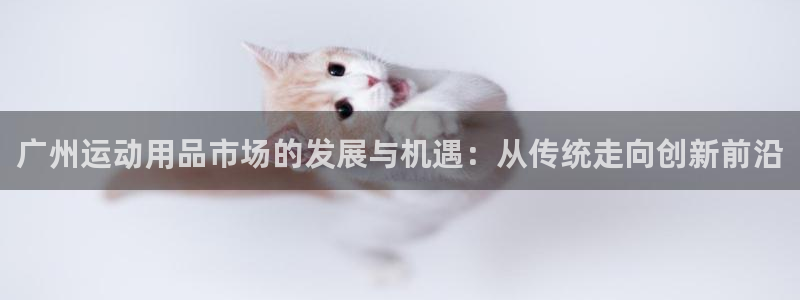 征途国际五金厂：广州运动用品市场的发展与机遇：从传统走向创新